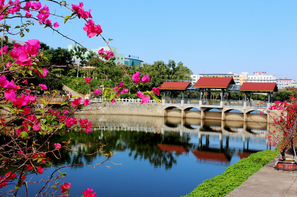 厦门火炬公园新丰湖